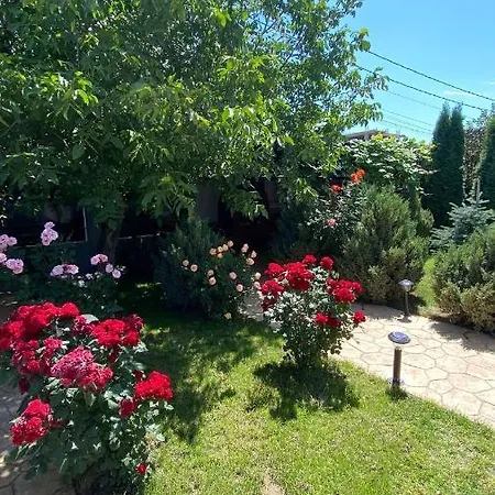 Vila Ale Năvodari