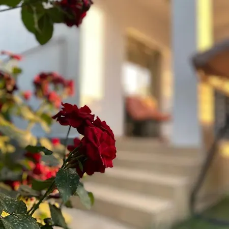 Vila Ale Vilă